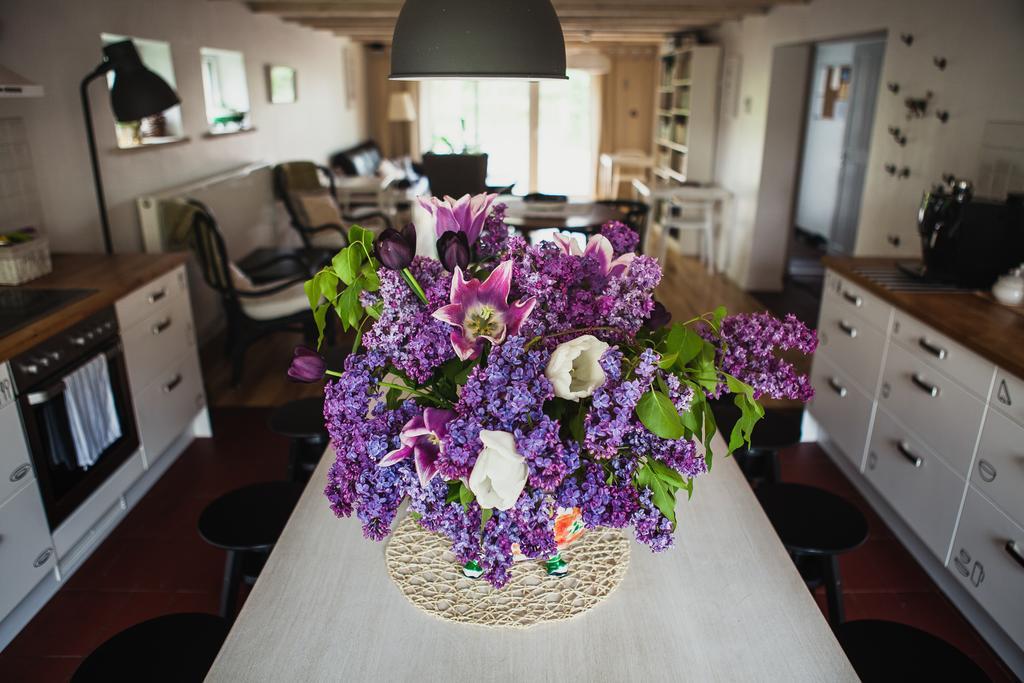 Saka Vacation House Druskininkai Exterior foto